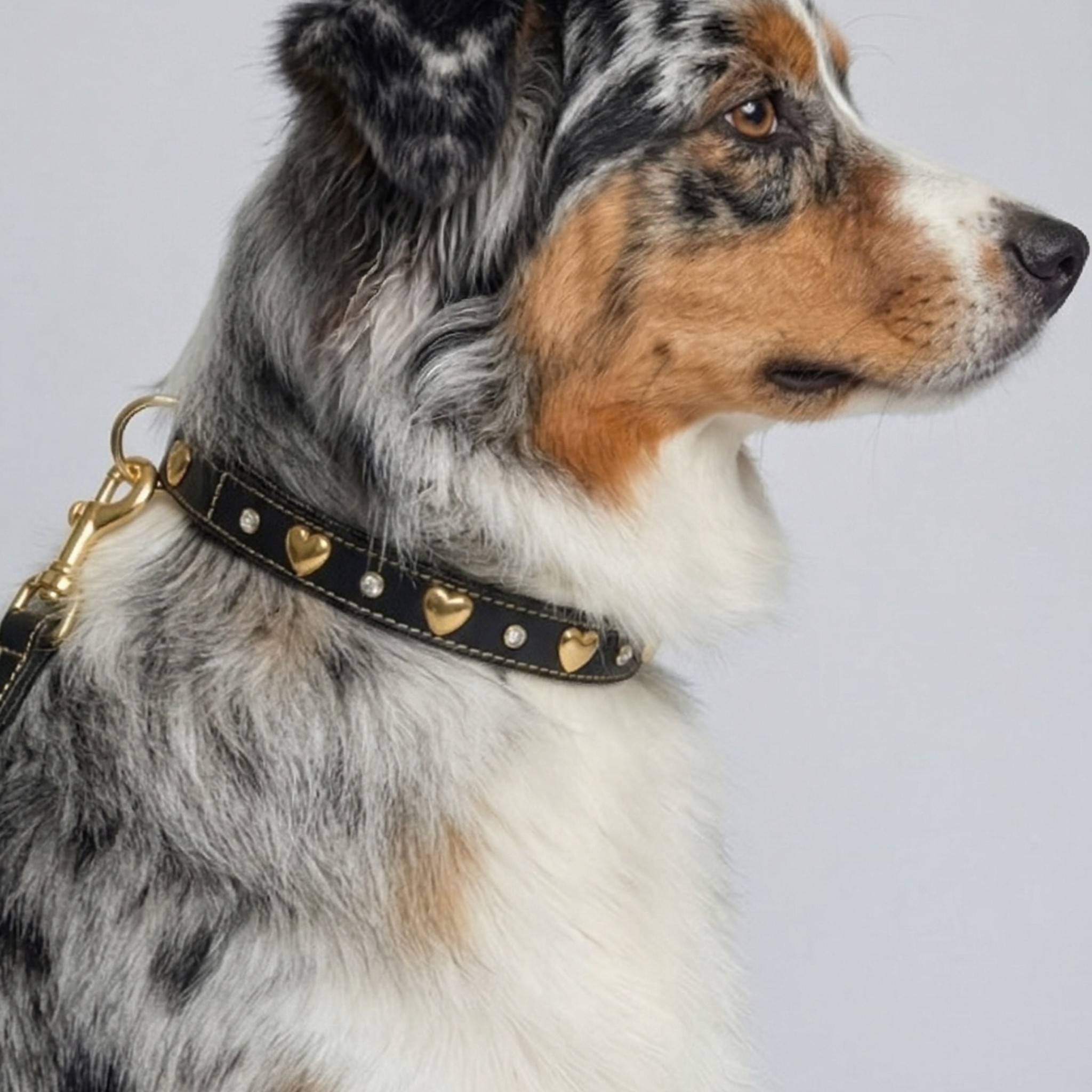 Set Collare con Cristalli e Guinzaglio in Pelle per Cani